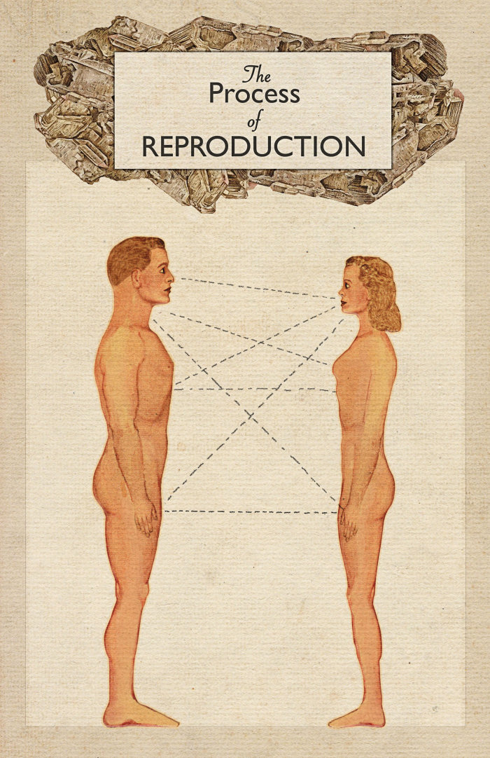 Uma ilustração do processo de reprodução
