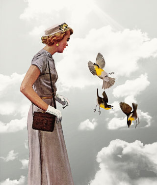 Femme passant devant des oiseaux qui volent
