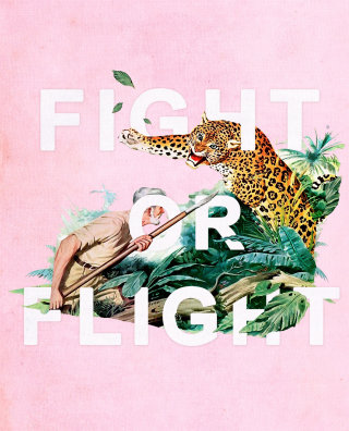 Heather Landis による Fight or Flight レタリングアート