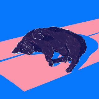 Obra de arte autoiniciada de un gato negro.