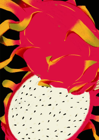 Pintura realista de una fruta del dragón.
