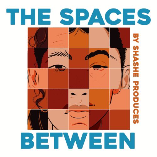 Illustrated mosaic of a face with varying skin tones and text The Spaces Between