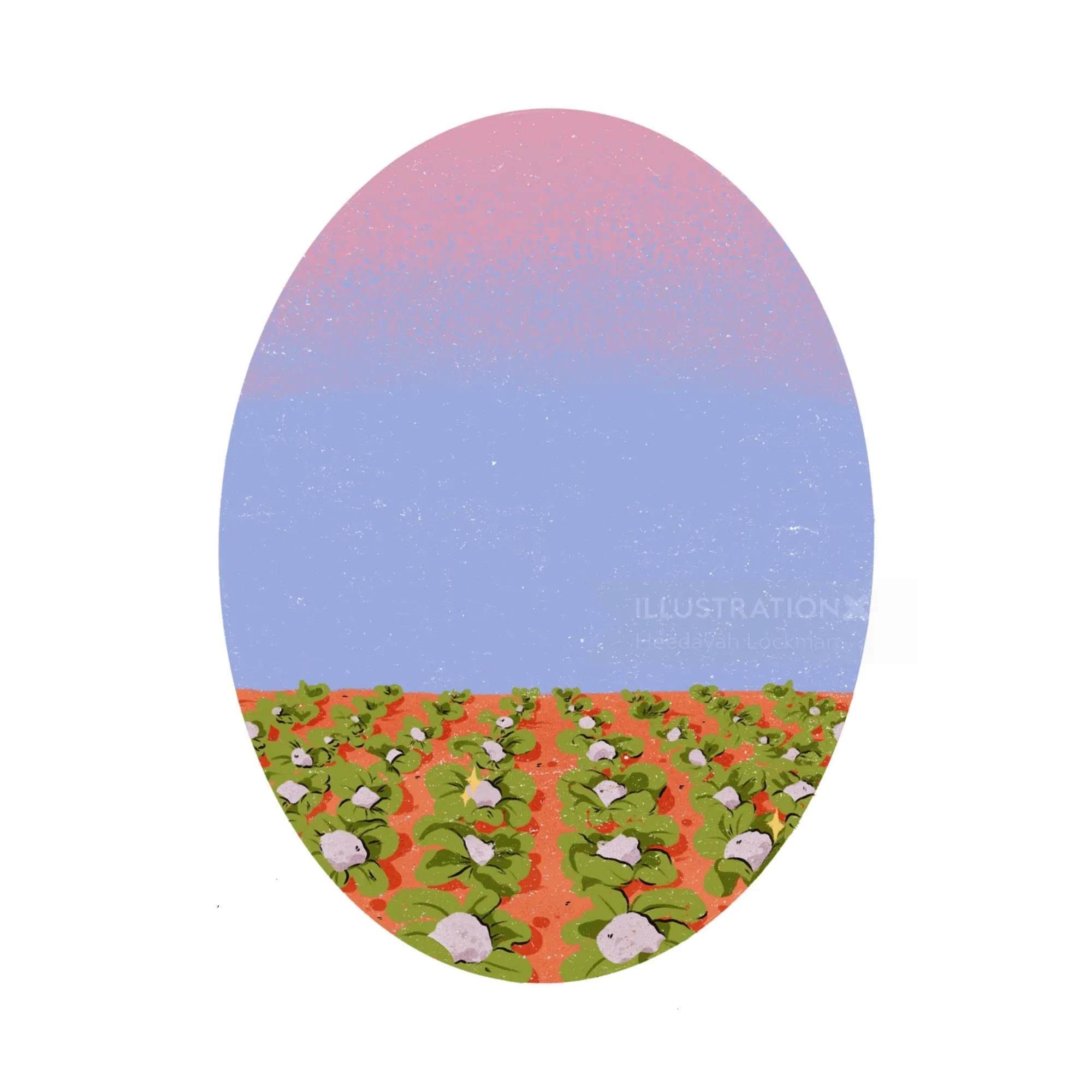 Cotton field with green plants and white cotton bolls under a pink and blue sky