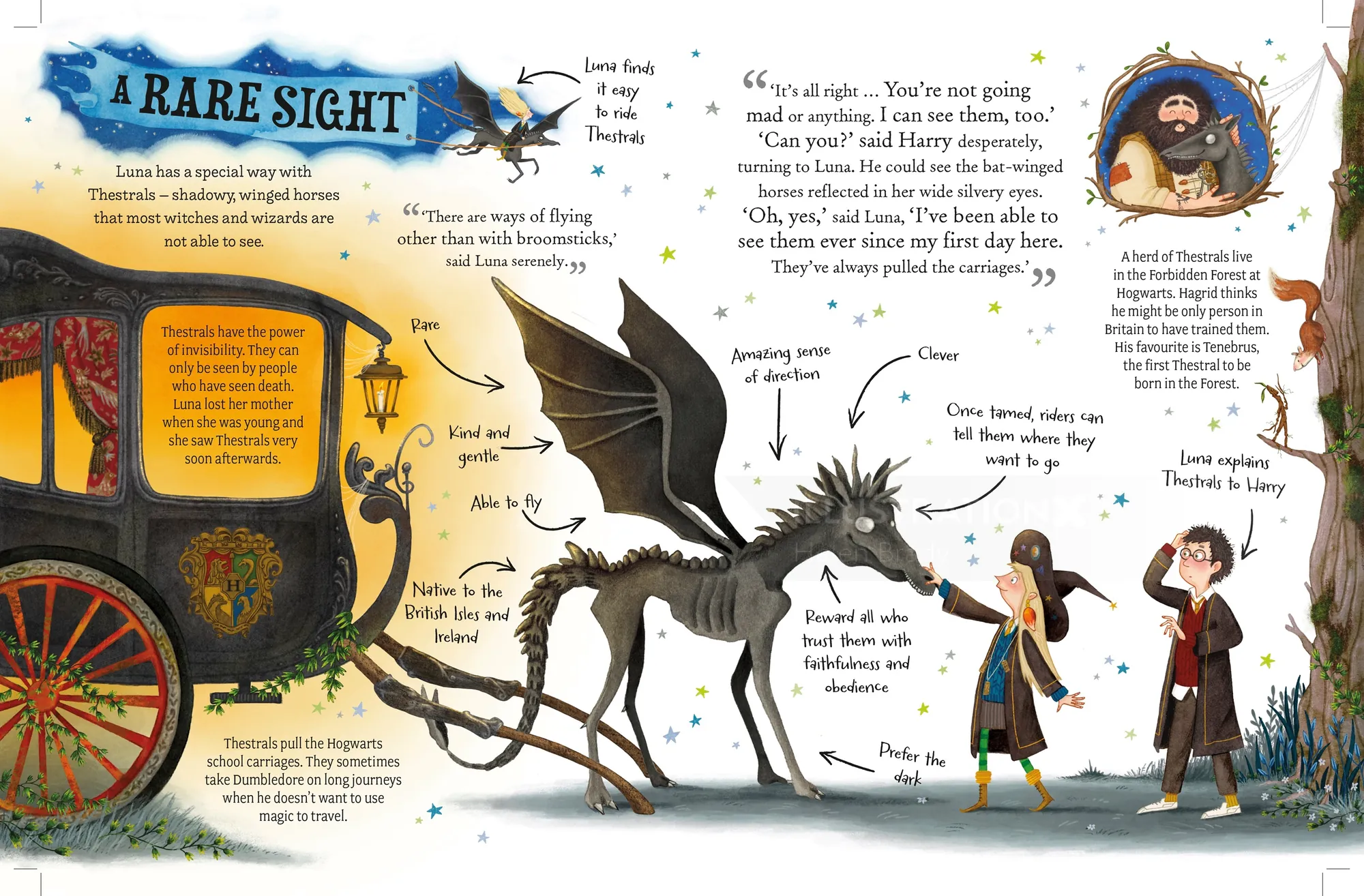 Dama victoriana con un dragón y un carruaje, ilustrado por Helen Brady