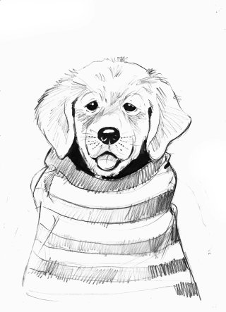子犬のスケッチアート 