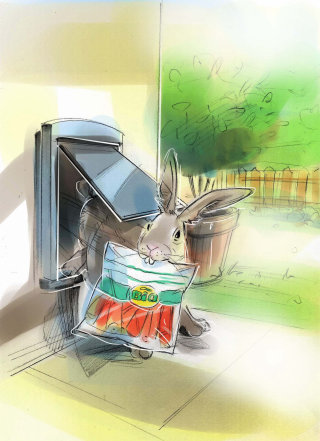Pintura em aquarela de coelho 