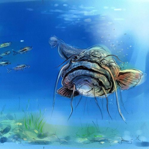 Nature illustration of Deep sea creatures