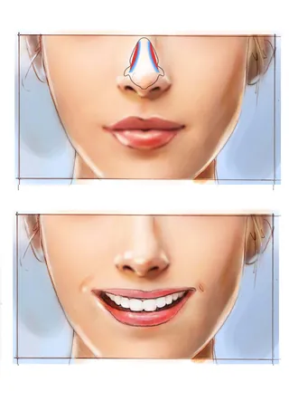 Anatomical drawing of a nose with muscle structure and a smile by Henryk Zimak