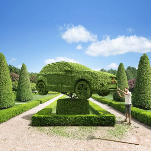 Green shrub with car shaped