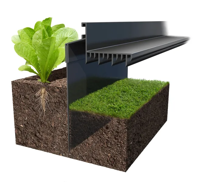 3d/CGI Rendering plant in the soil