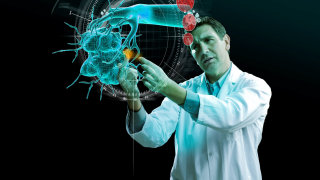Órgano médico de renderizado 3D/CGI