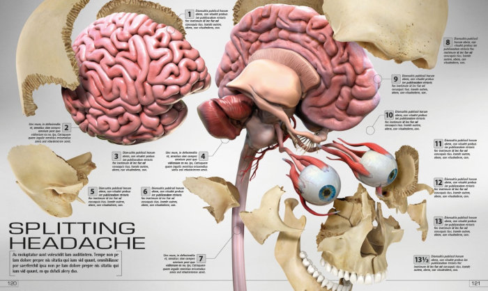 Art médical du cerveau et des yeux