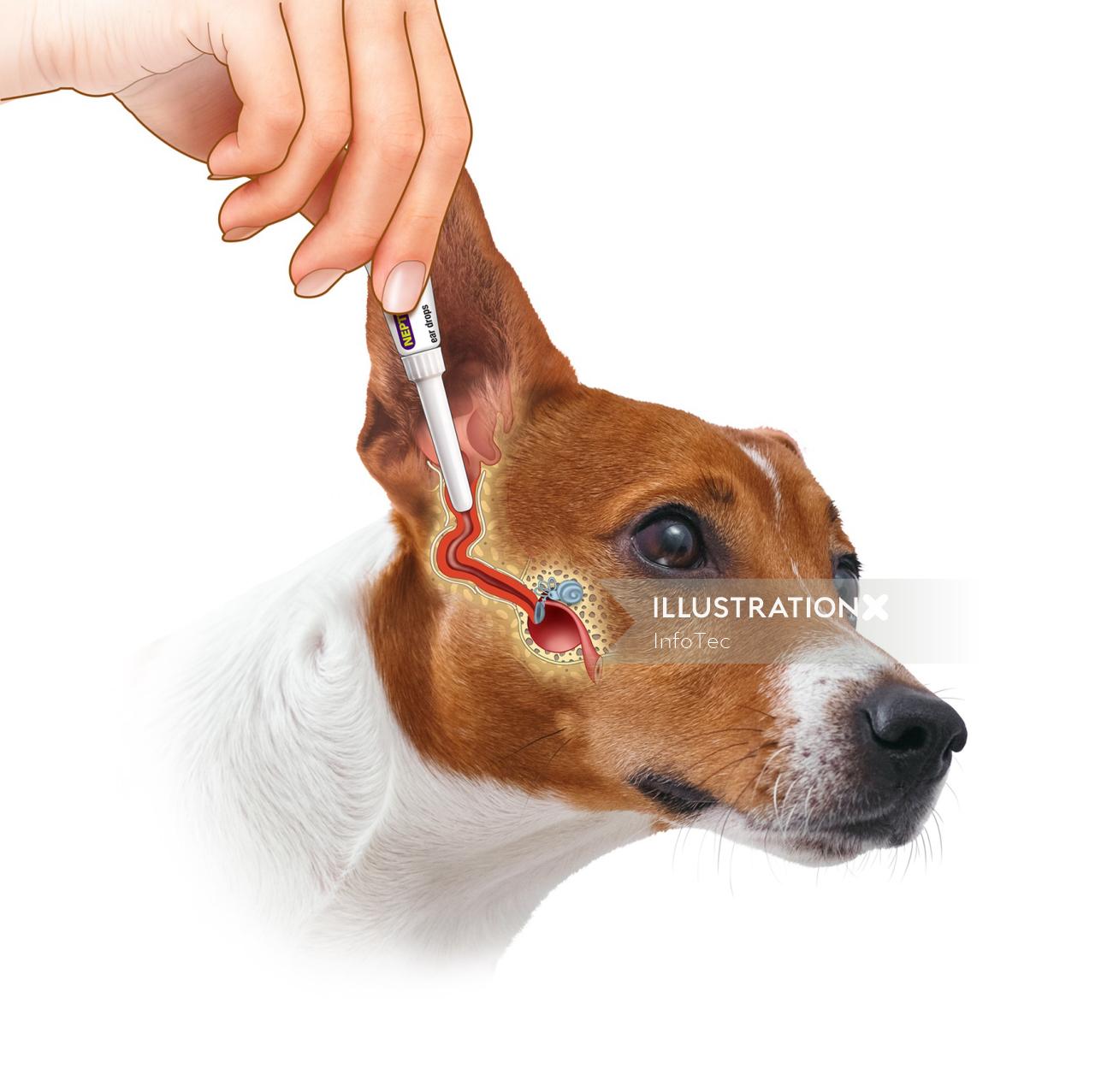 犬のための医療用耳薬