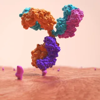 3D molecular rendering of 1igt antibody on cell surface