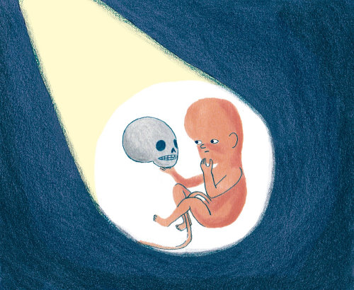 Illustration of baby hamlet