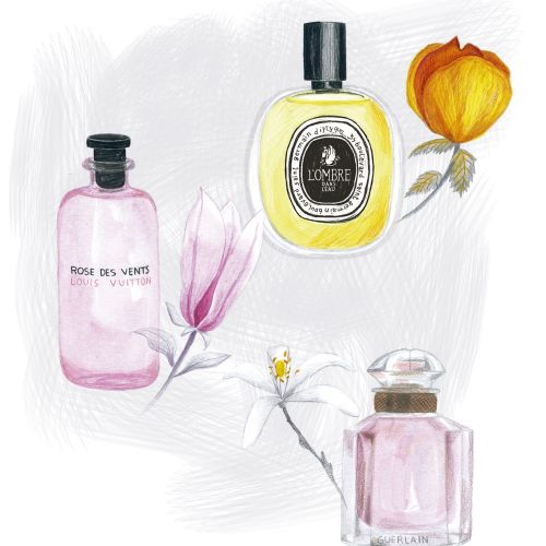 Fashion illustration of floral perfumes