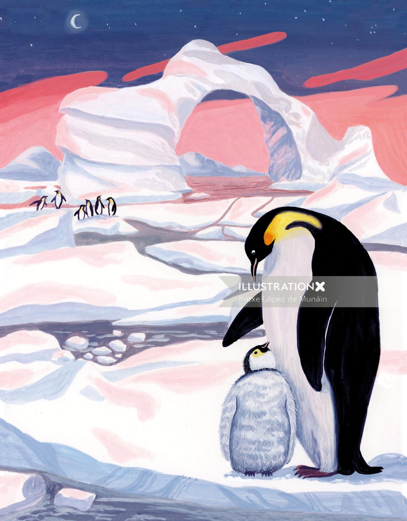 artic, wildlife nature, Penguin, snow, ecology,