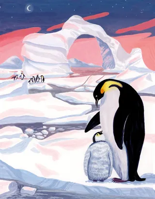 Arctic history illustrated in Pantera magazine