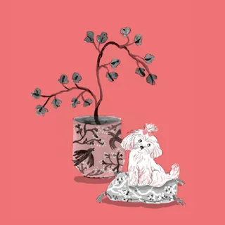 Small white dog on cushion beside a flower pot on pink background