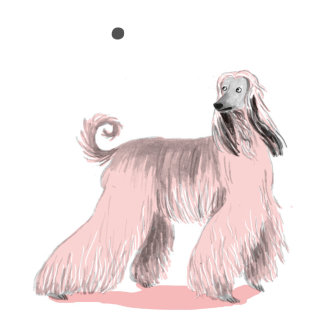 Afghan Hound colorful drawing