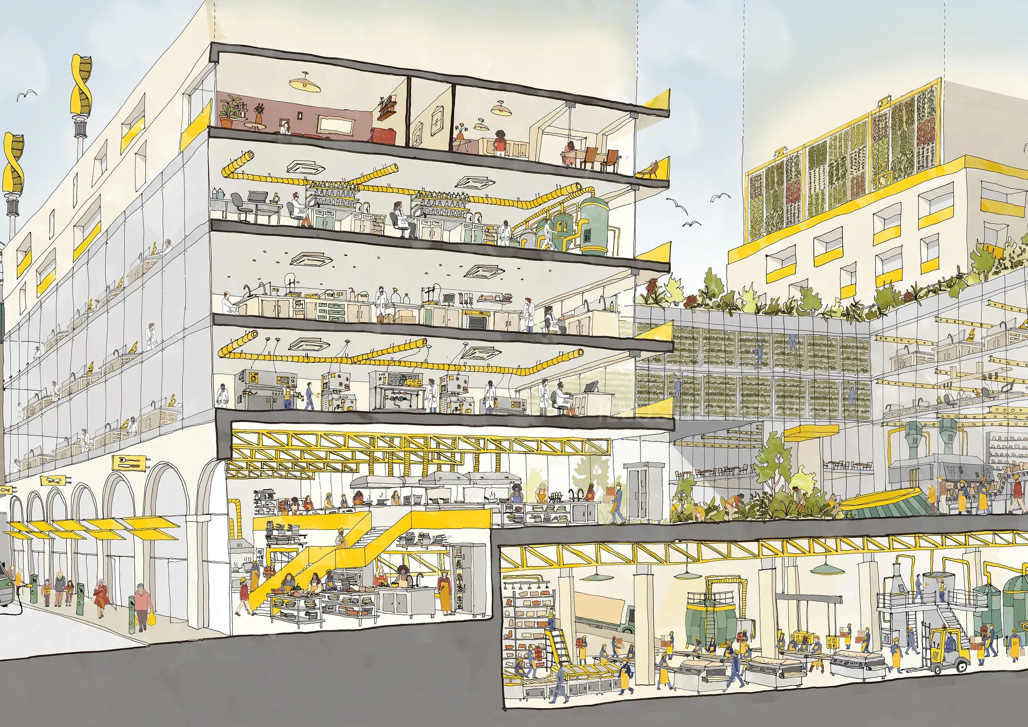 Architectural section of Camley Street Knowledge Garden by Jack Sweet
