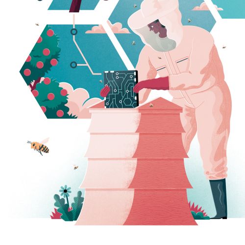 Beekeeper in protective suit inspecting hive with honeycomb frames by Jacob Stead