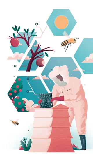 Beekeeper in protective suit inspecting hive with honeycomb frames by Jacob Stead