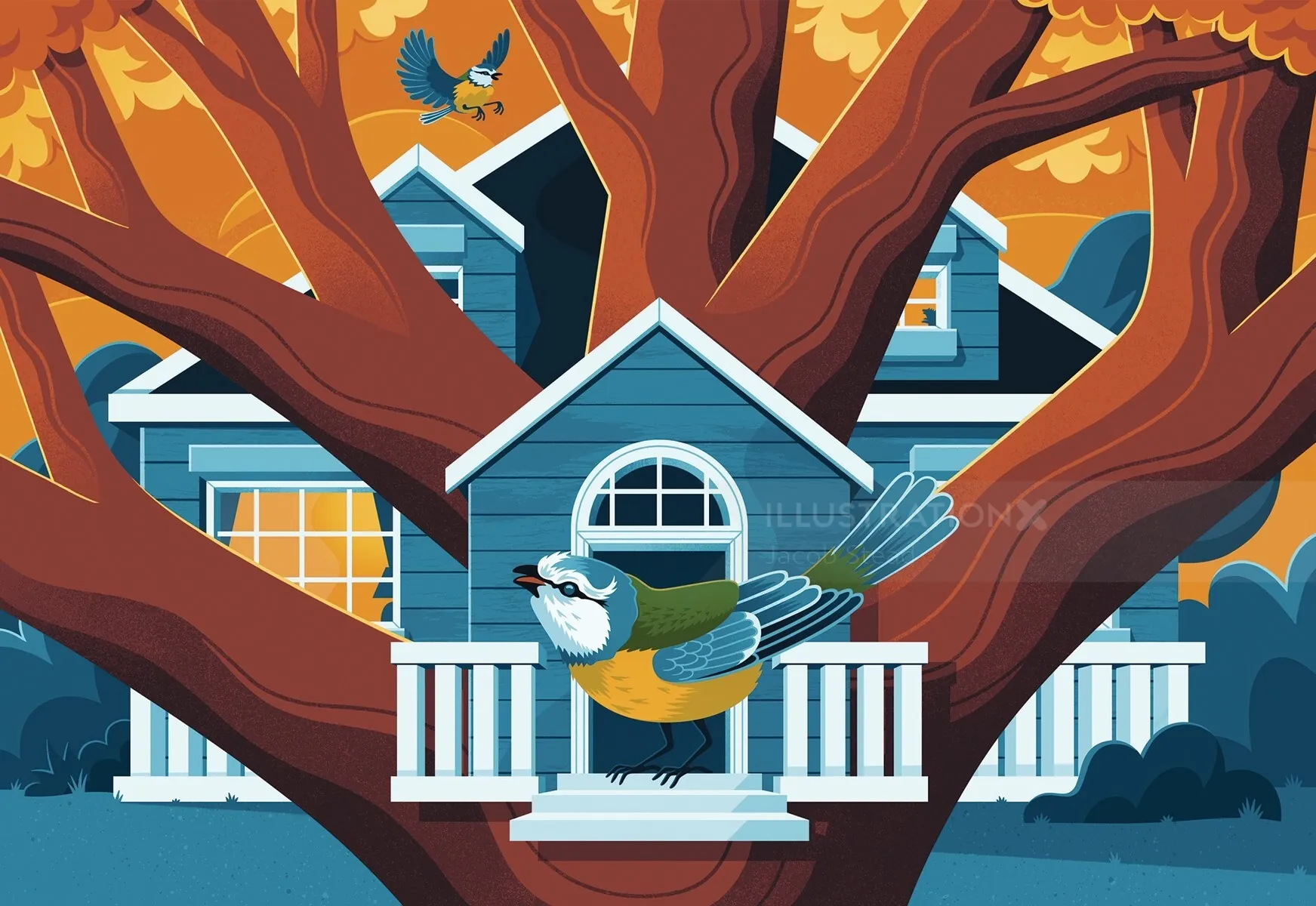 Blue bird approaching birdhouse on tree branch by Jacob Stead
