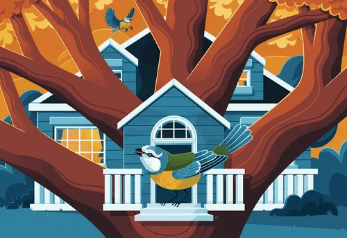 Blue bird approaching birdhouse on tree branch by Jacob Stead