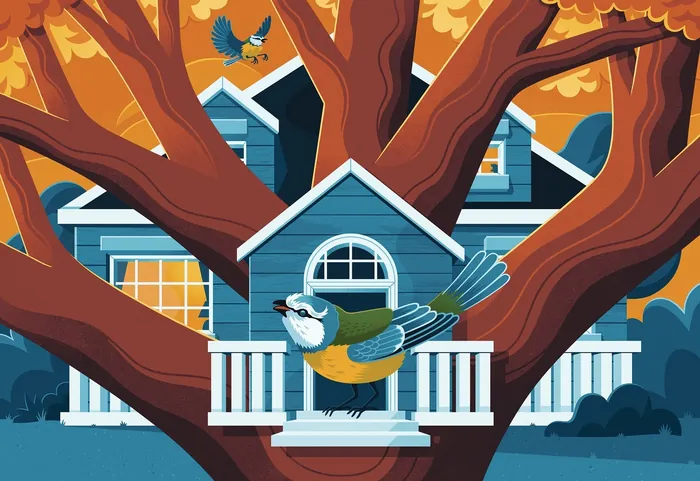 Blue bird approaching birdhouse on tree branch by Jacob Stead