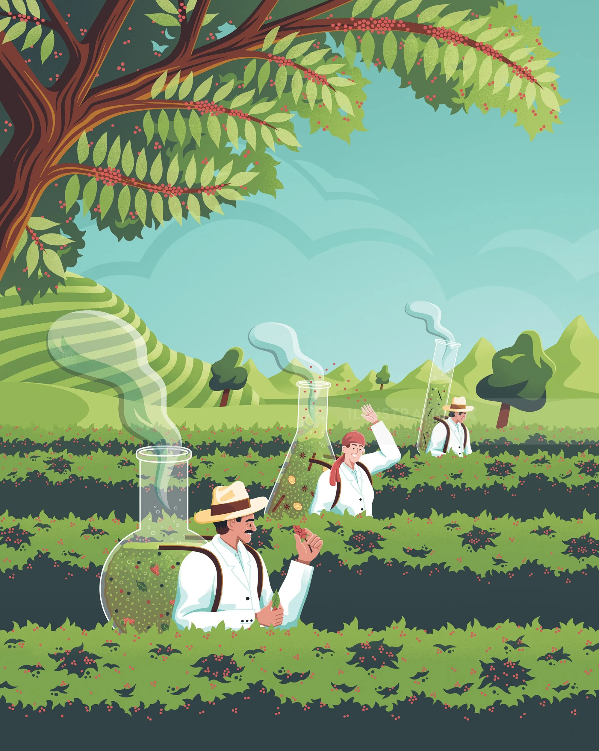Tea estate article featured in KoffieTcacao magazine