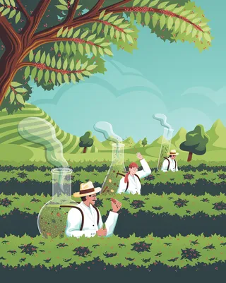 Tea estate article featured in KoffieTcacao magazine