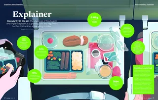 Editorial on Explainer: Sustainability