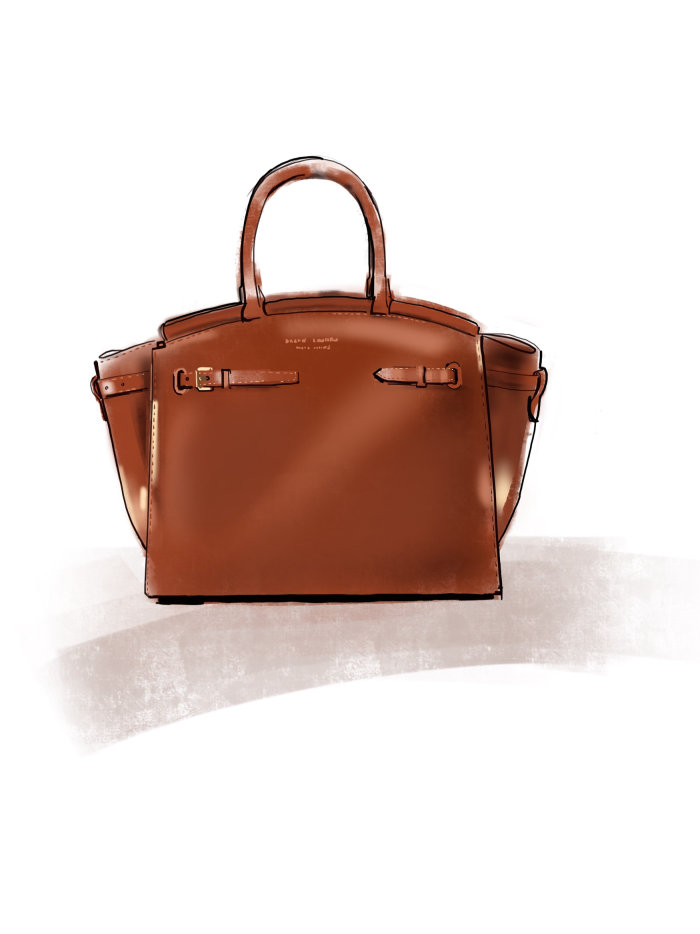 Fashion Graphic art of Ralph Lauren RL50 handbag