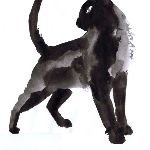 Illustration of black cat