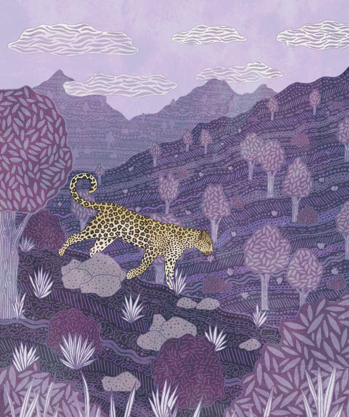 Animal Cheetah in forest
