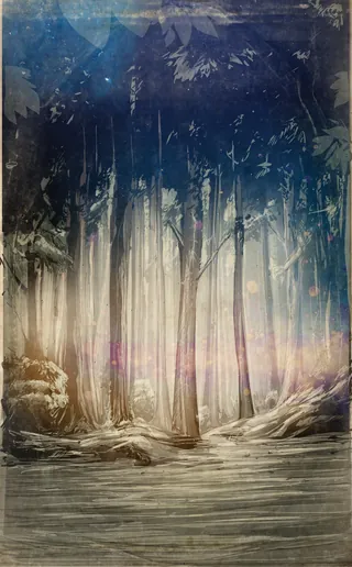 Misty forest with tall trees and light filtering through the canopy.