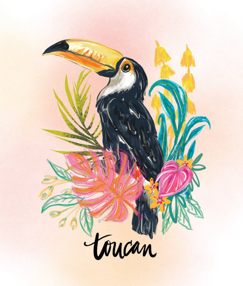 Toucan bird watercolor drawing 