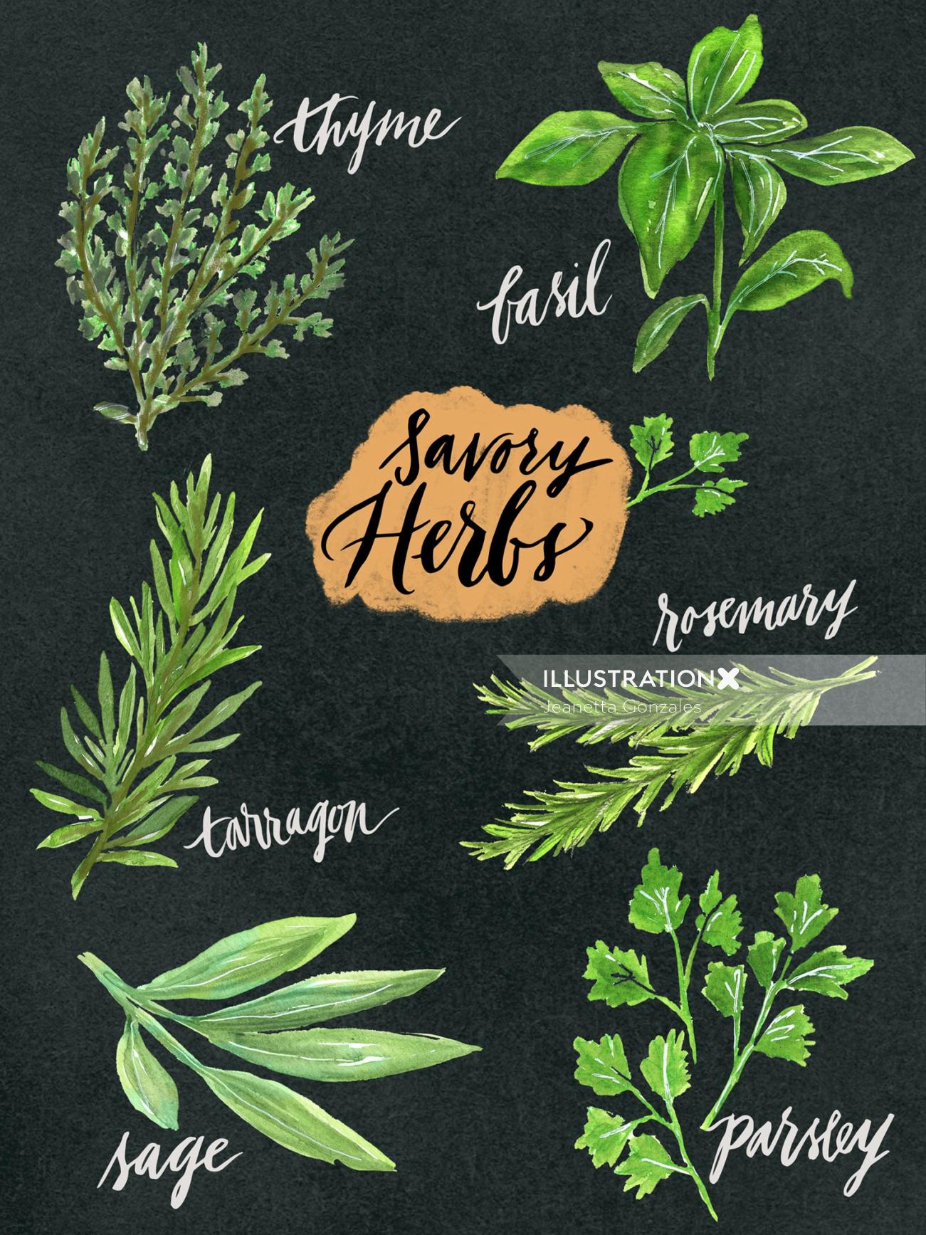 Lettering art of savory hearts 