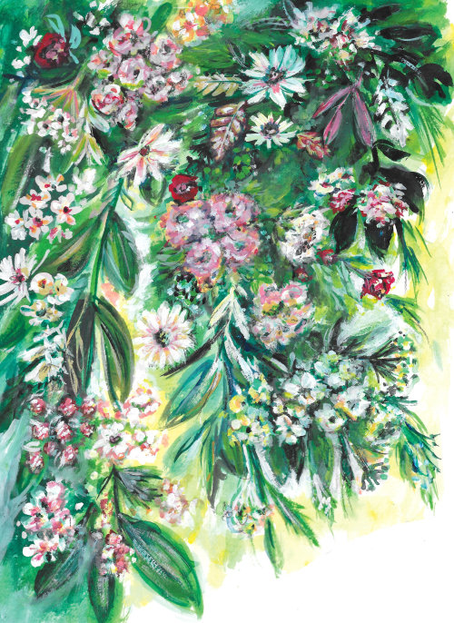 Jeanetta Gonzales为薄荷西榆树制作的植物插图