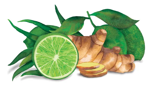 Waitrose Duchy Organic - Lime and ginger soda label illustration