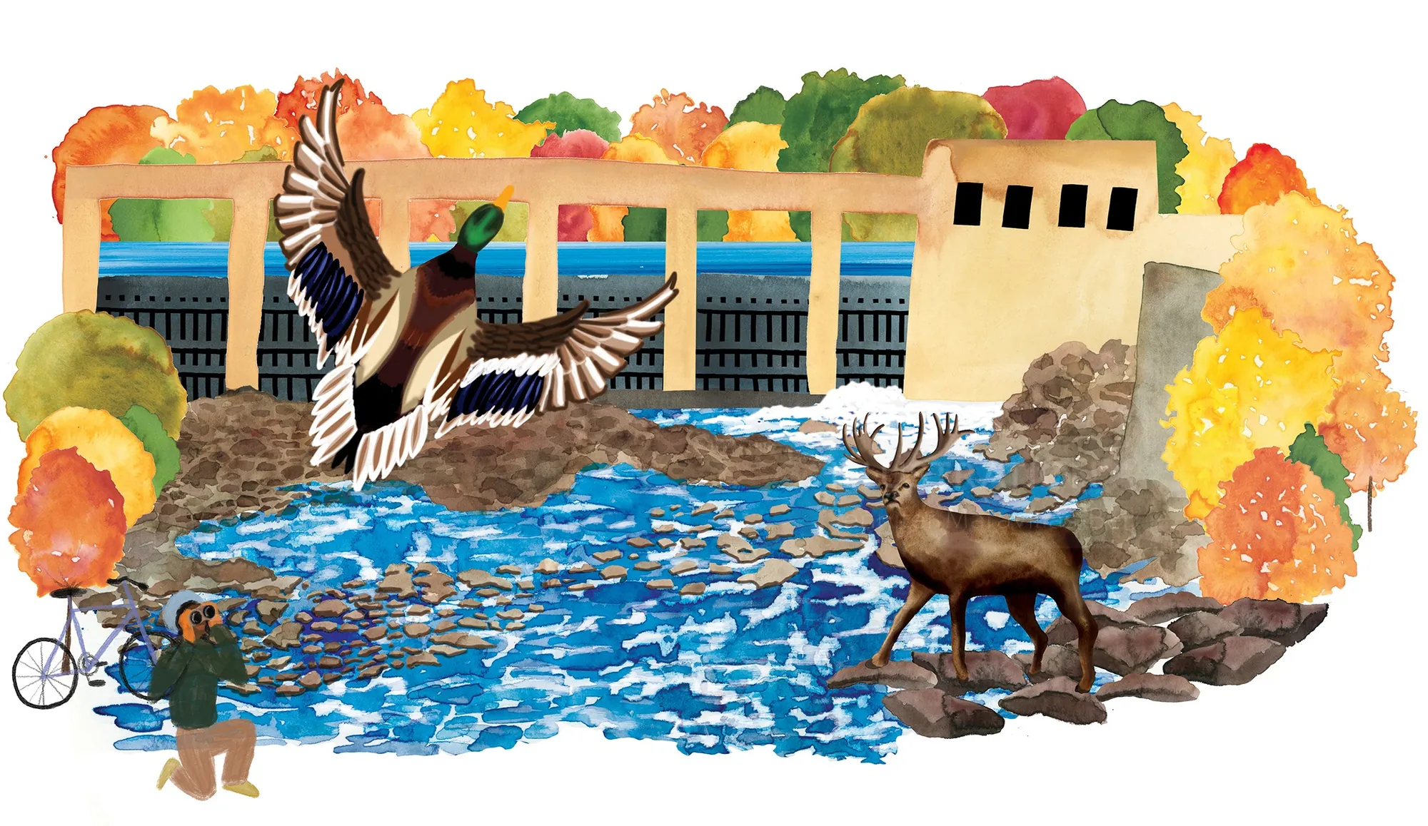 Water dam with deer, flying bird, fisherman, and colorful autumn trees by Jennifer Maravillas-Bell