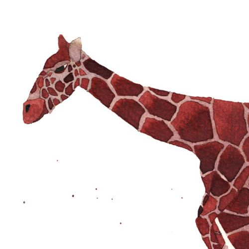 Giraffe illustration by Jennifer Maravillas