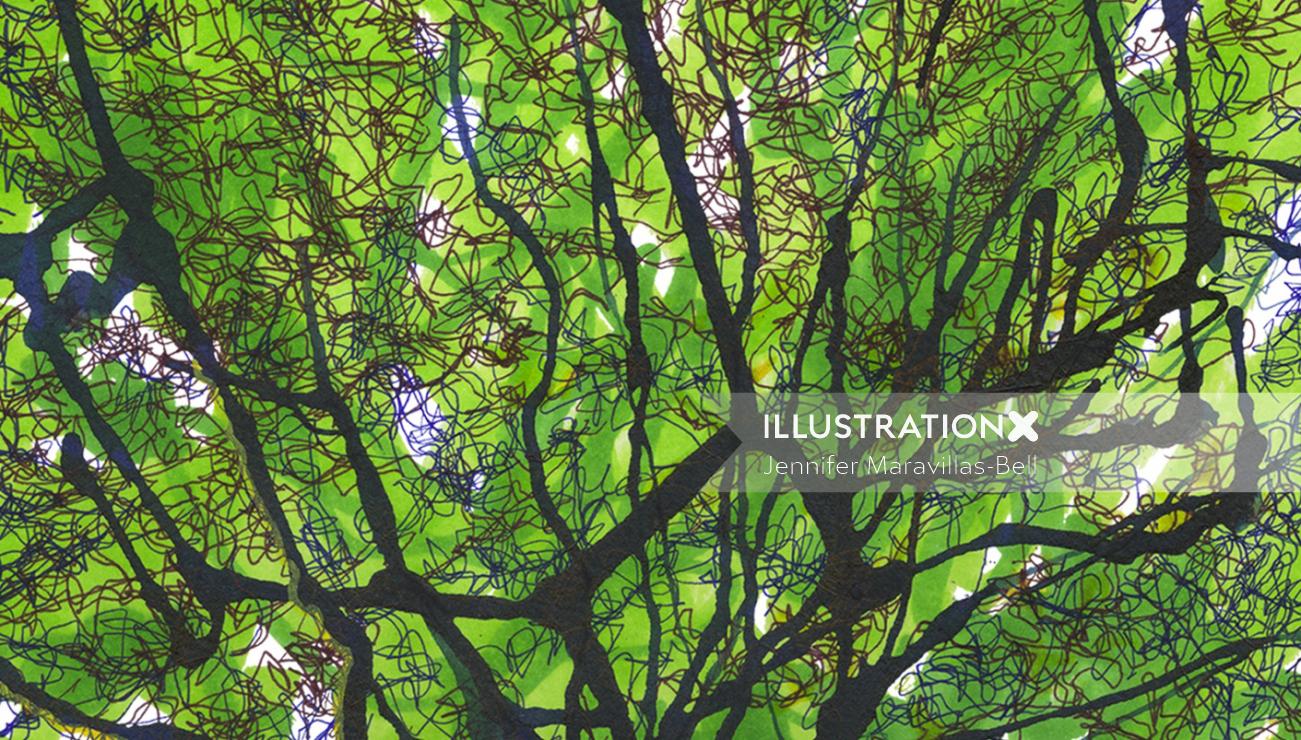 Trees illustration by Jennifer Maravillas