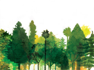 原生樹の絵画