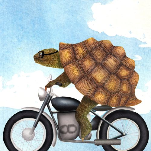 An illustration of Tortoise on motorcycle
