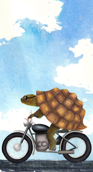 Una ilustración de tortuga en moto
