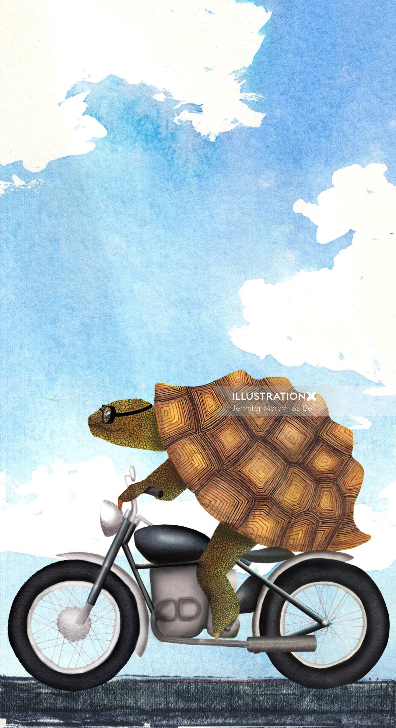 Uma ilustração da tartaruga na motocicleta