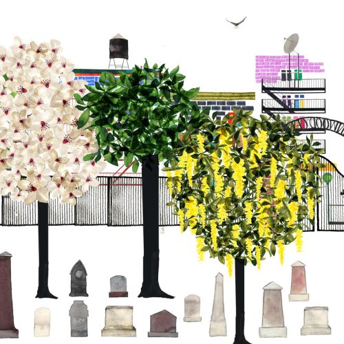 Trees illustratin by Jennifer Maravillas