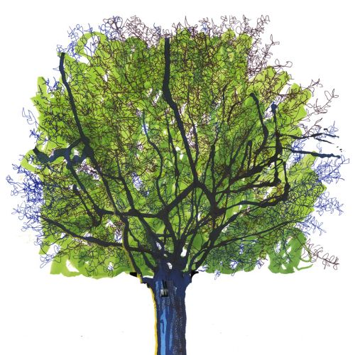 Tree | Nature illustration collection